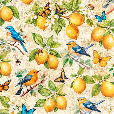 CITRUS BLISS             